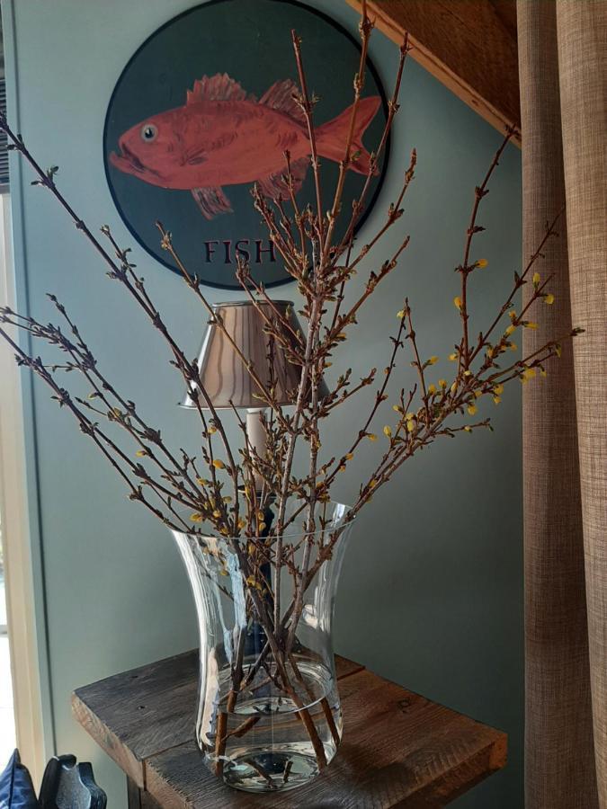 B&B De Verre Kijker Barsingerhorn 외부 사진